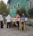 Садовые и огородные   достижения налицо