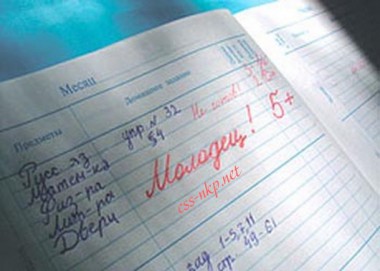 Школы России переходят  на электронные  дневники